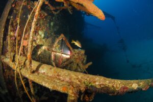 Hilma Hooker