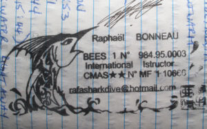 Logbook 11