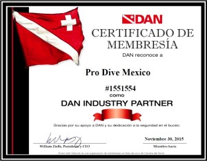 DAN Certificate (3)