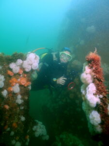 Diver on the Rosalie
