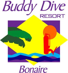 buddy-dive-resort-bonaire