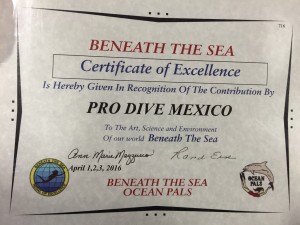 BTS Certificate of Excellence PDM 2016