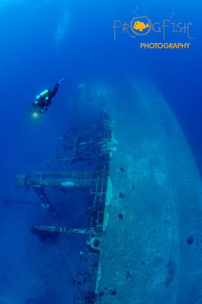 artificial reef dives