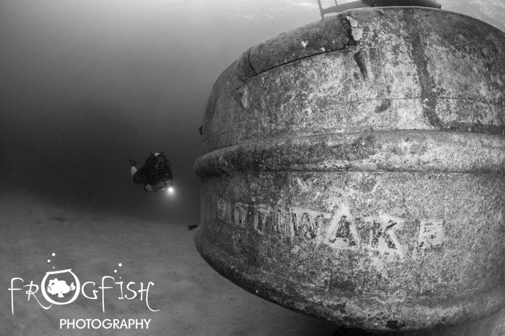 artificial reef dives