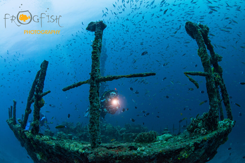 artificial reef dives