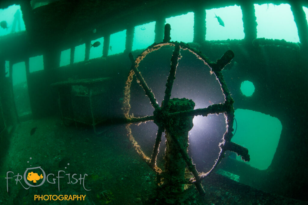 artificial reef dives