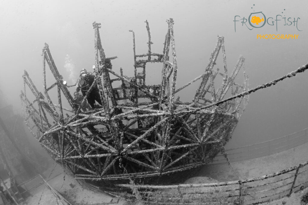 artificial reef dives