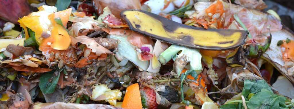 marine litter