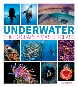 Underwater Photography Masterclass