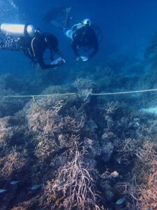 Biosphere Expeditions