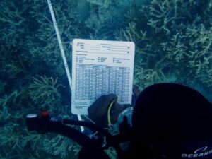 Biosphere Expeditions