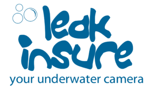 Leak Insure