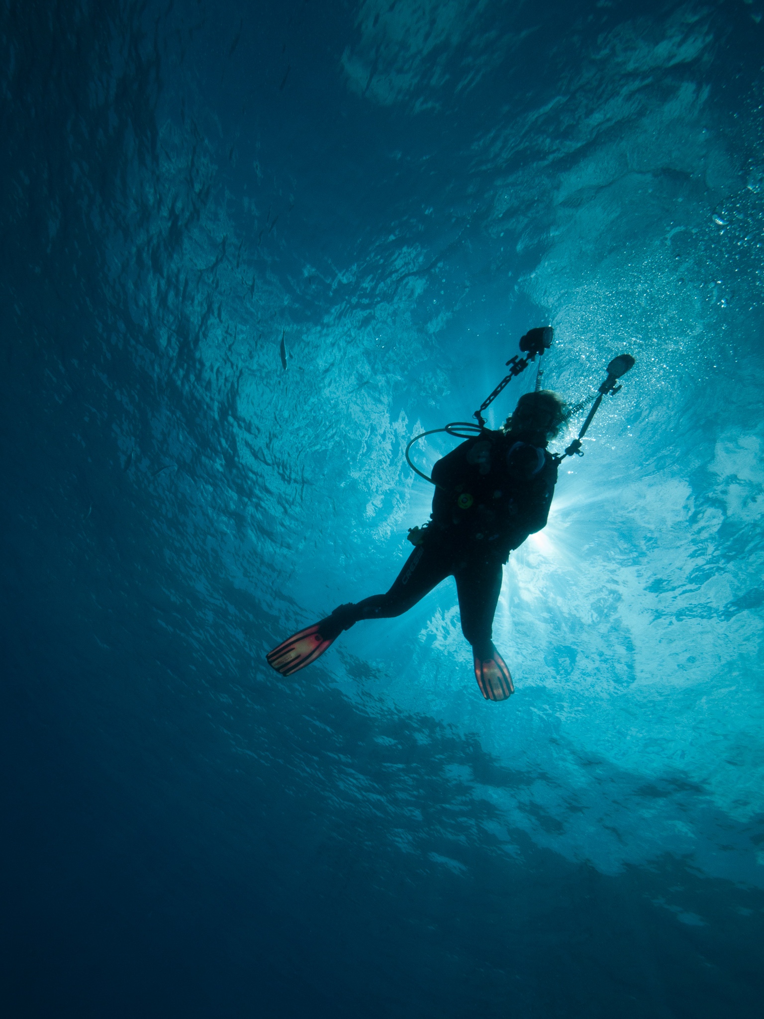 Freediving – Ten Common Myths about Freediving by Mark Harris – photo 6