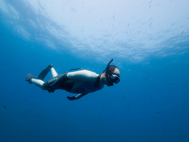 Freediving – Ten Common Myths about Freediving by Mark Harris – photo 7