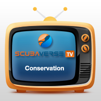 scubaverse-tv-conservation