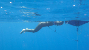 Allie and Rolf’s Freediving Blog