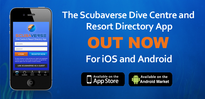 scubaverse-app-launch