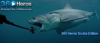 360 Sharks 2