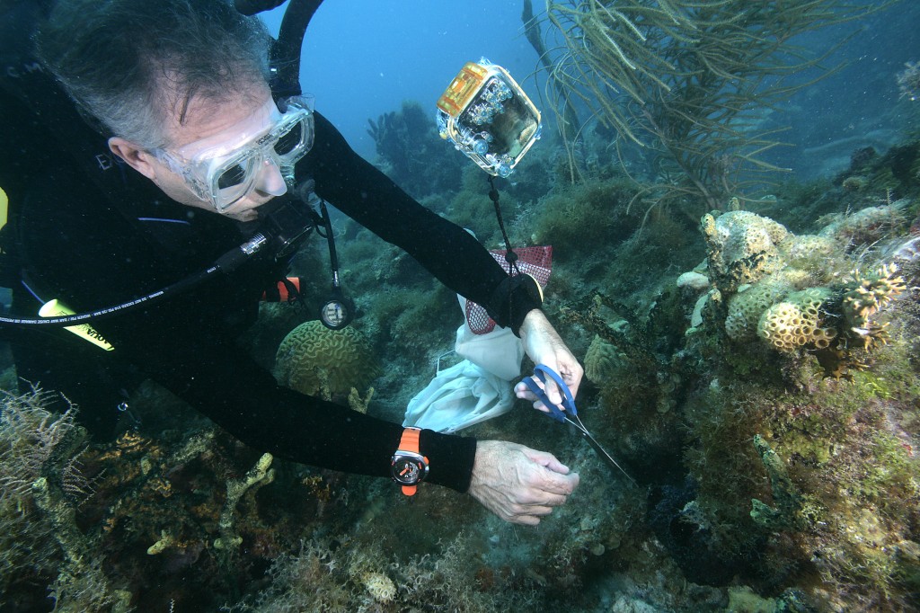Scientist Charles Messing in the Dry Tortugas