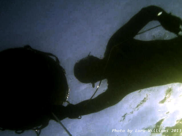 Trust In Freediving – A Freediver’s Lifeline