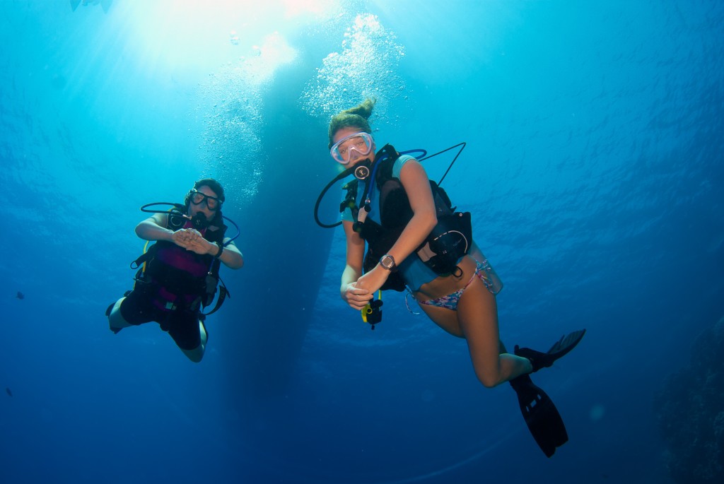 Scuba Travel Dive Show Special Offers Available Now Book