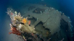 sydney shipwreck
