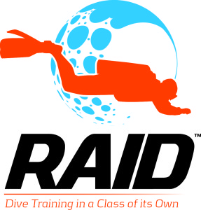 RAID logo 2