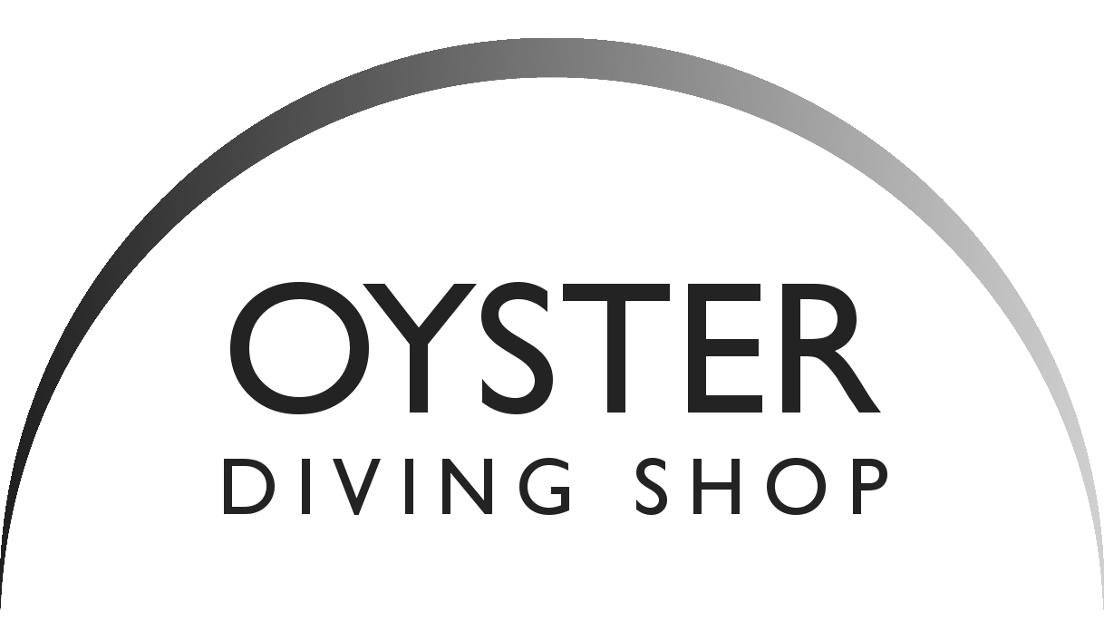 www.oysterdivingshop.com