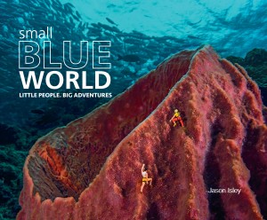 Small Blue World cover