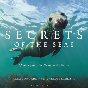 Secret of the Seas
