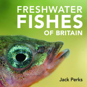 freshwater-fish-frontcover-final