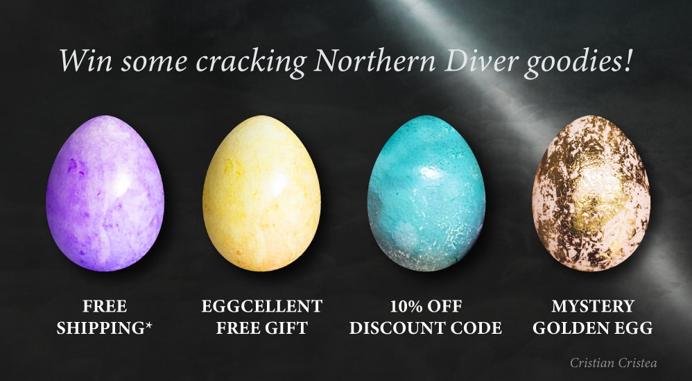 Win some cracking prizes in the Northern Diver Easter Egg Hunt