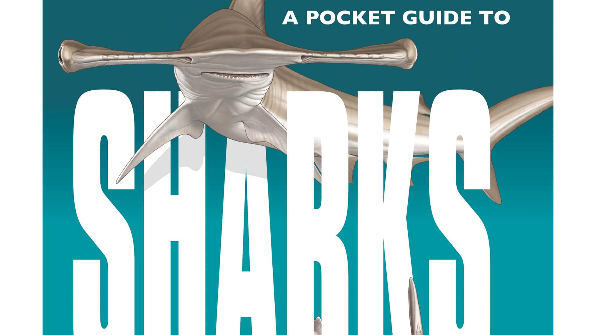 Book Review - A Pocket Guide to Sharks of the World