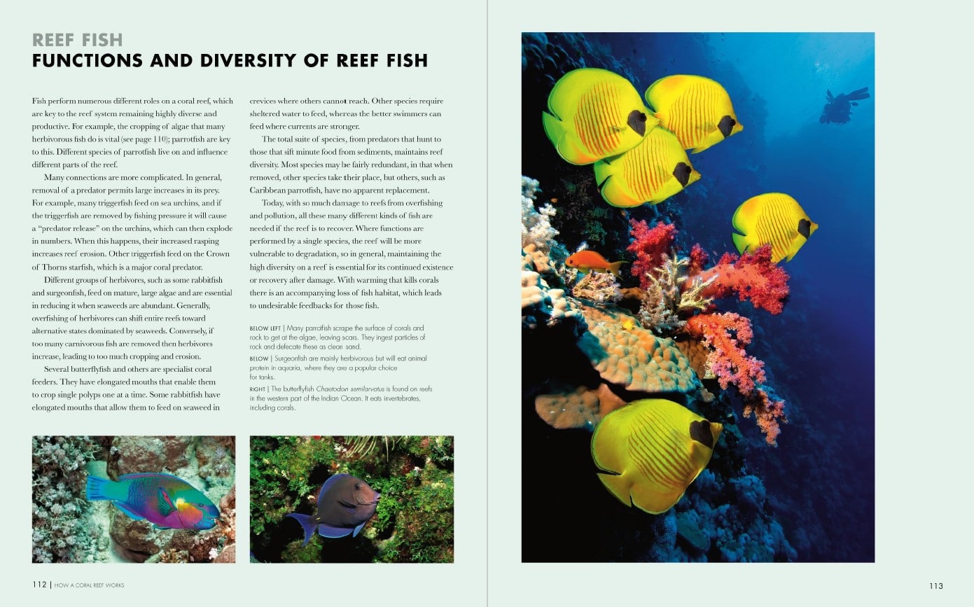 Coral Reefs p112-113