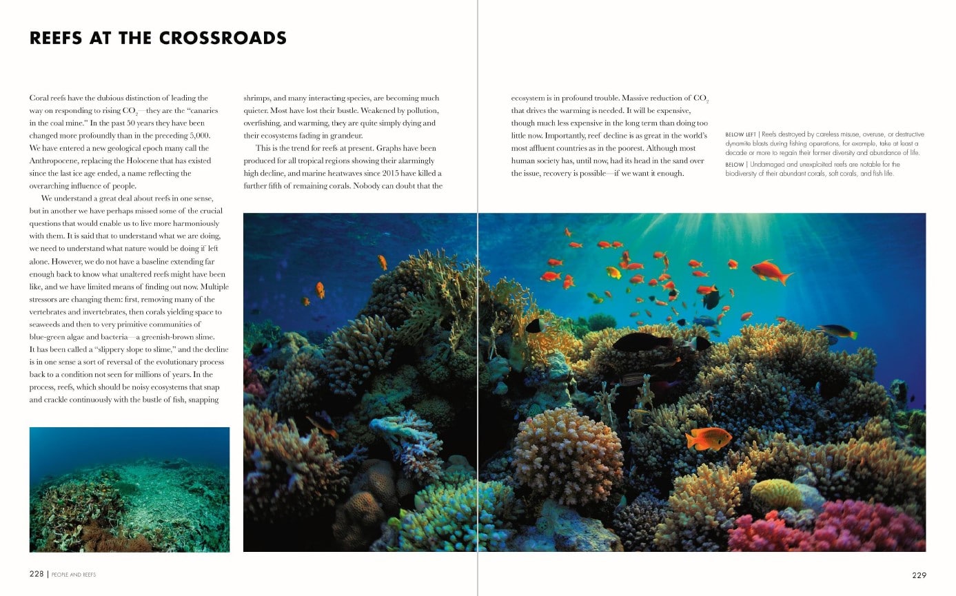 Coral Reefs p228-229