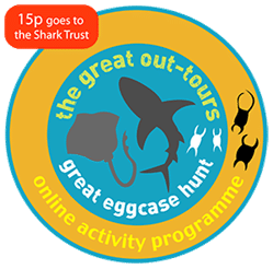 Great Eggcase Hunt