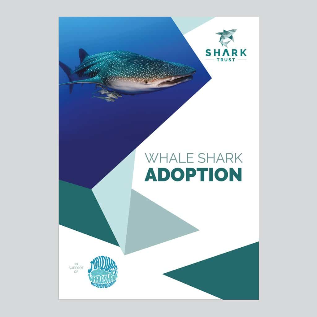 whale_shark_adoption_pack_4472x4472_web2_1024x1024