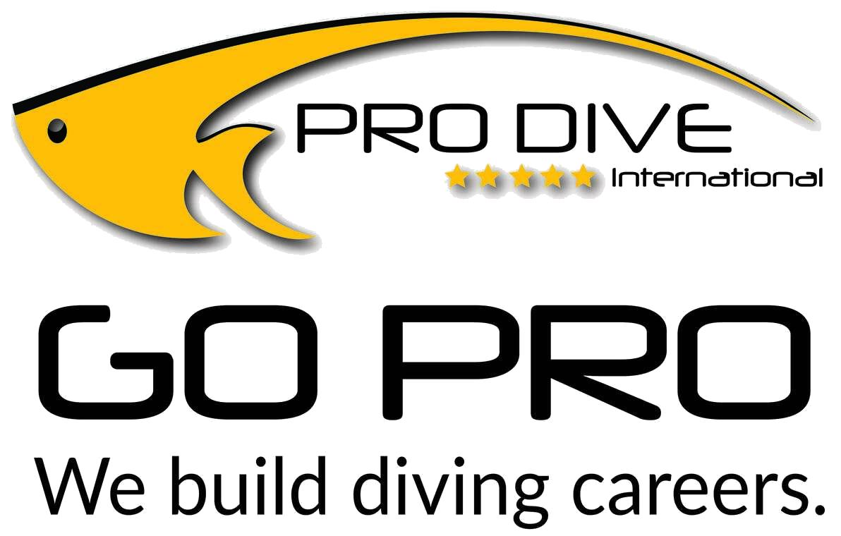 Pro Dive GoPRO IDC Mexico logo
