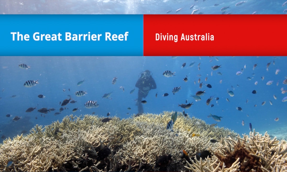 The Great Barrier Reef_Scuba Diving Australia_Thumbnail