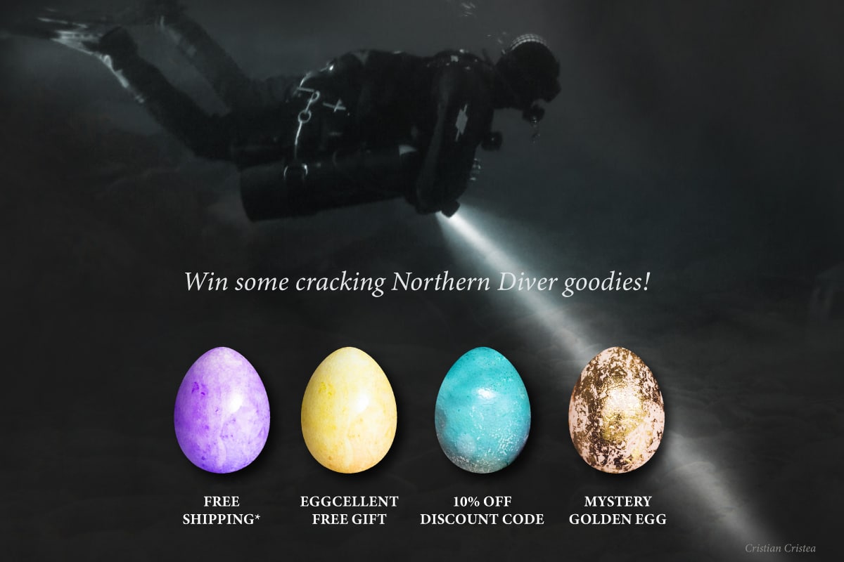 Join In Northern Divers Online Easter Egg Hunt This Weekend Scubaverse Join in northern divers online easter egg hunt this weekend scubaverse