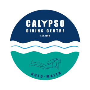 Calypso round RGB 002 300x300