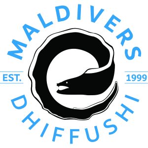 Maldivers Dhiffushi logo 600px 002 300x300