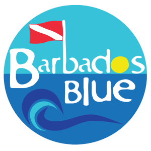 Barbados Blue Logo 1 1 300x300