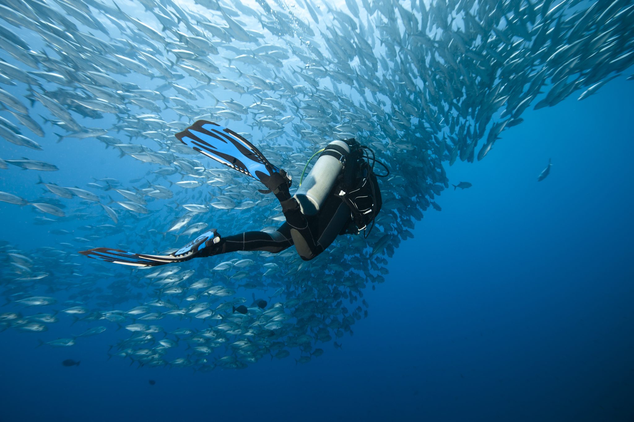 solo scuba diving