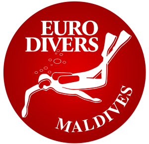 LOGO ED MALDIVES 1 300x291